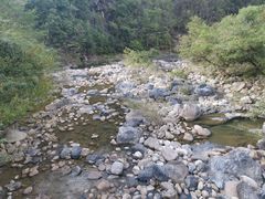 -石台牯牛降景区