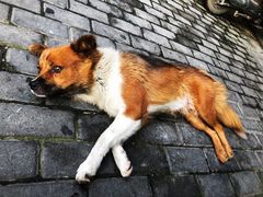 -花园茶楼(兴城西路店)