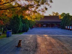-晋祠公园