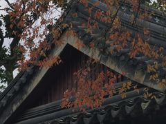-拙政园