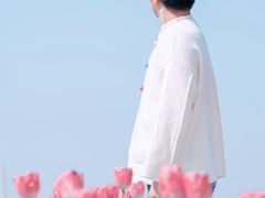 -荷兰花海