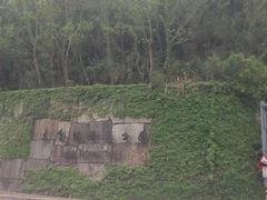 -太鲁阁公园