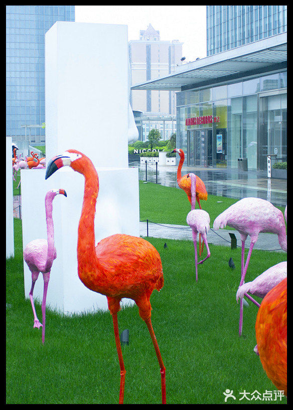 长沙IFS隐藏打卡地|假装出国系列