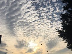 -光明港公园