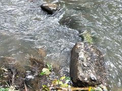 -桤木河湿地公园