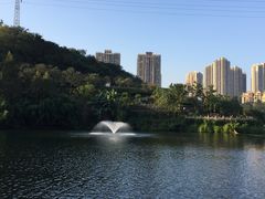 -重庆彩云湖湿地公园