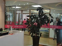 -爱月宝月嫂·育儿嫂(哈尔滨总店)