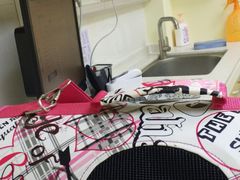 -芭比堂动物医院广州顽皮分院