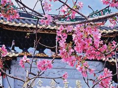 -宝墨园景区