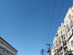 -桃花堤公园
