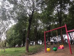 -秀丽东方