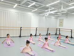 -中央芭蕾舞团·中芭艺蕾(酒仙桥明星校区)