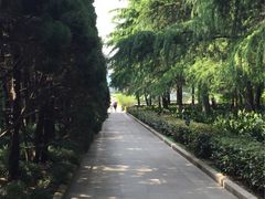 -上海市龙华烈士陵园