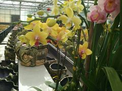 -天源吉布世温泉水乐园