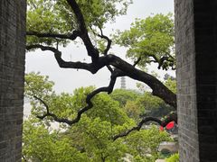 -江心屿景区