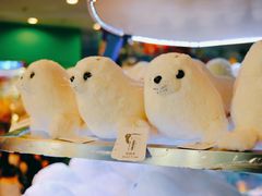 -上海海洋水族馆