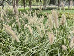 -汉长安城未央宫国家考古遗址公园