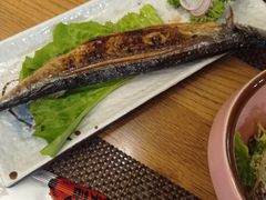 -樱の千渡日式料理·铁板烧•烧鸟(金盛田广场店)
