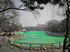 -莲湖公园