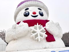 -沈阳奥体冰雪嘉年华