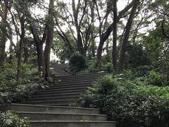 -罗三妹山