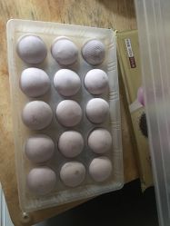 点击看大图 -安院长·产后恢复·徒手骨盆(先天下店)