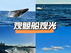 -悉尼歌剧院