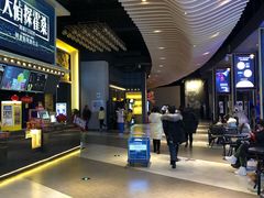 -新影联·华谊兄弟影院(望京店)