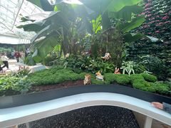 -石家庄市植物园