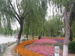 -廊坊文化艺术中心