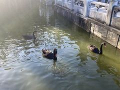 -珠海圆明新园