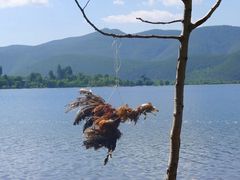 -丽江泸沽湖景区