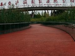 -西安浐灞国家湿地公园