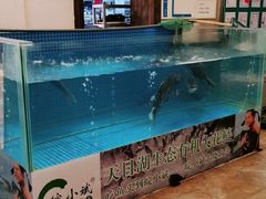 -皖小斌·小葱伴豆腐(丰收路店)