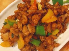 四川小公鸡-新阳光大酒店