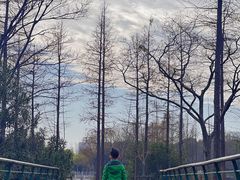 -尚贤河湿地