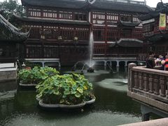 -绿波廊(豫园店)