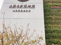 -上海自然博物馆