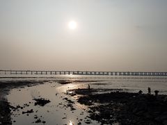 -宝安西湾红树林湿地公园