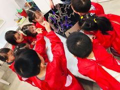 -蕃茄田艺术•美术绘画 •硬笔书法(滨江海威领界店)