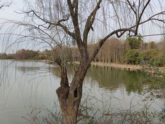 -长广溪湿地公园