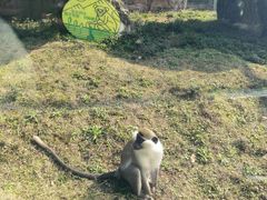 -黔灵山公园