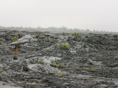-夏威夷火山国家公园