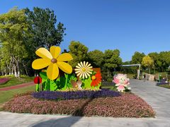 -春花秋色城市公园