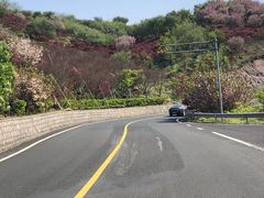 -四明山国家森林公园