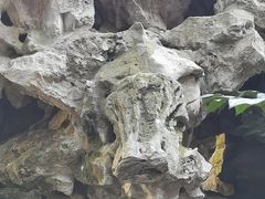 -东山雕花楼