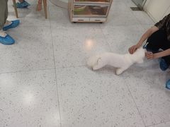 -喵园·猫主题咖啡厅·撸猫·猫咖(国贸店)