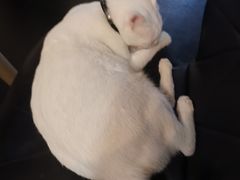 -Doors独立剧情密室(东门分店)