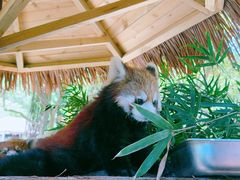 -宁波野生动物园