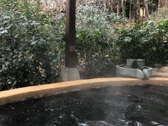 -天目湖涵田半山温泉